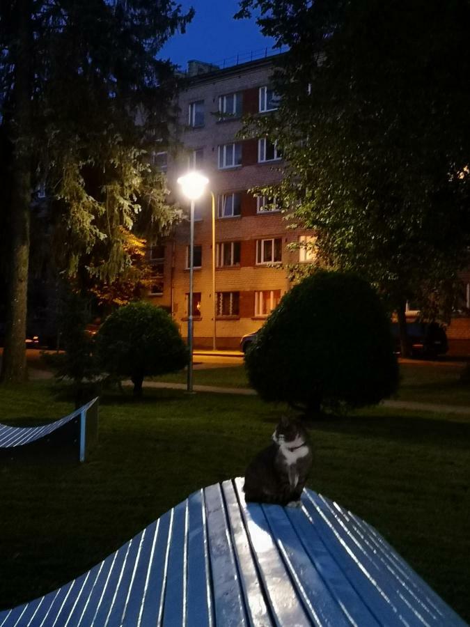 Dvinumajas Vintage B&B Балві Екстер'єр фото